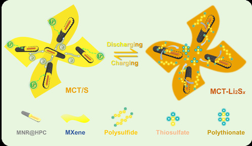 Figure 3 Schematic illustration for the LiPS adsorption/conversion of MCT